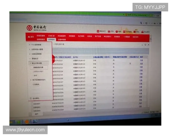 J9官网入口安全登录攻略，详细介绍登录流程及常见问题解决方案